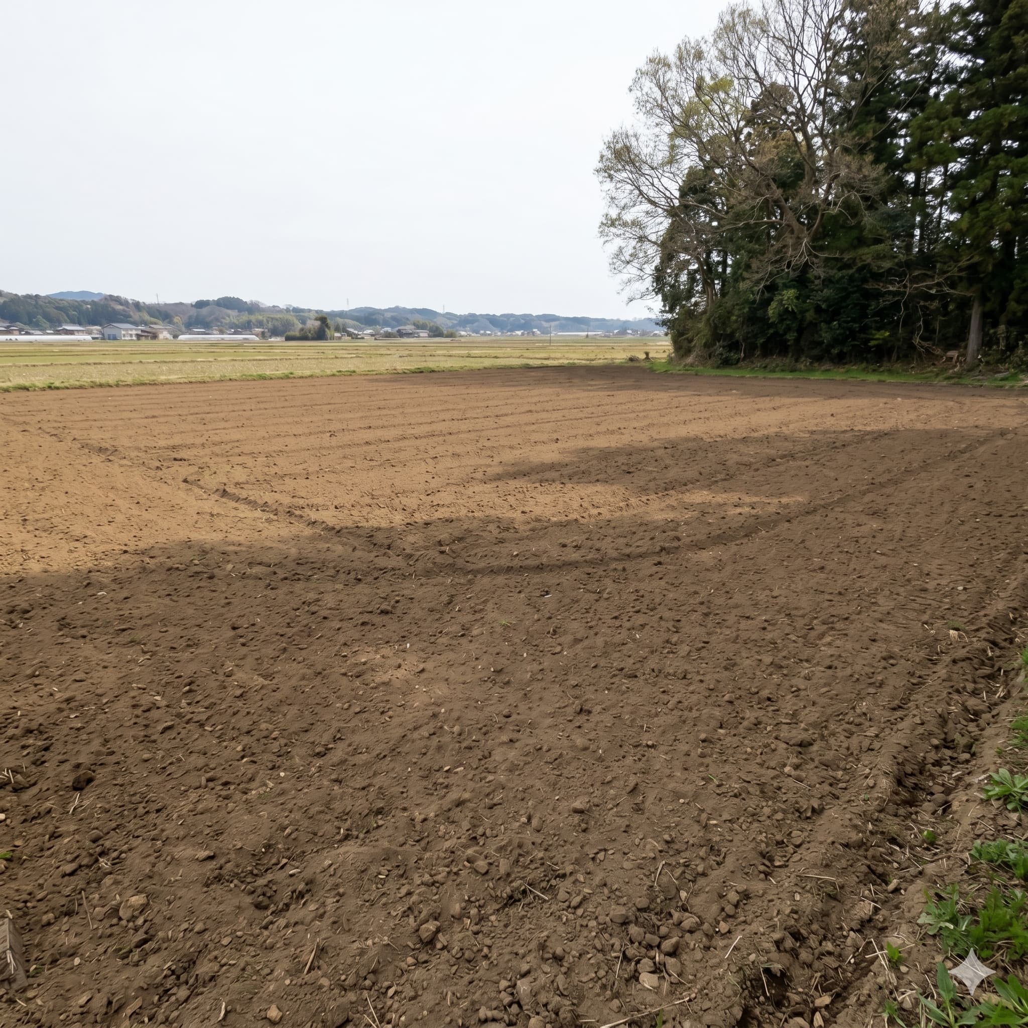 要注意圃場